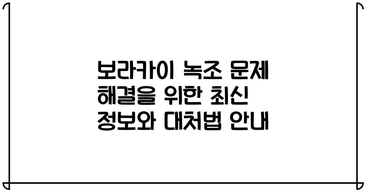 보라카이 녹조 문제 해결을 위한 최신 정보와 대처법 안내